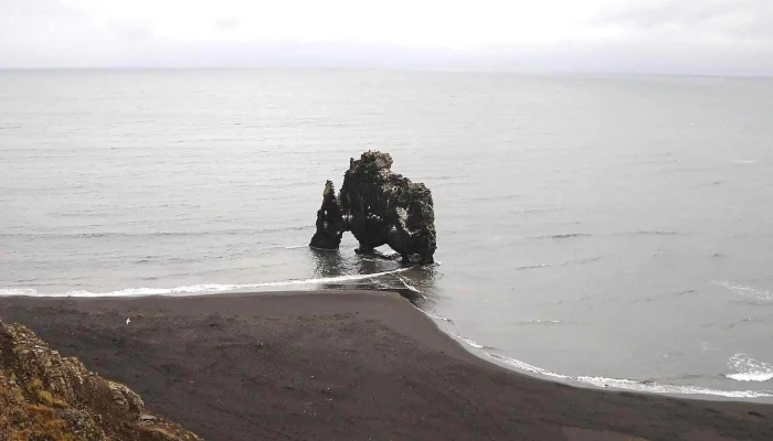 Hvitserkur -  Aætlun - Iceland