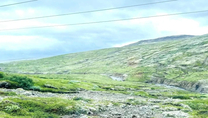 Hvitserkur Foss Verð - Fitjar