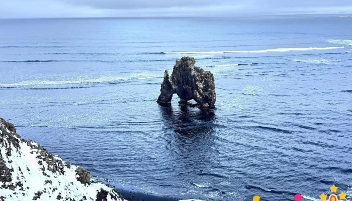 Hvitserkur Nyjast - 711