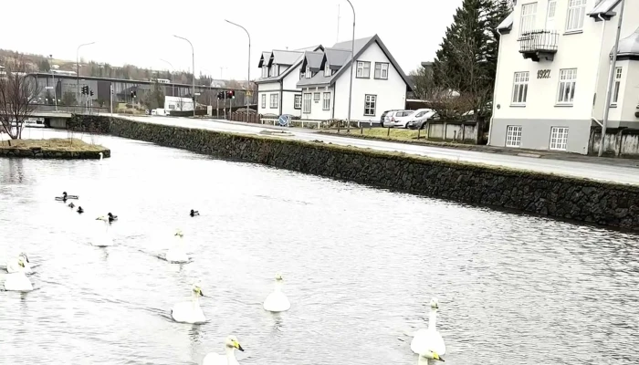 Hydingaholmi Kynning - Hafnarfjörður
