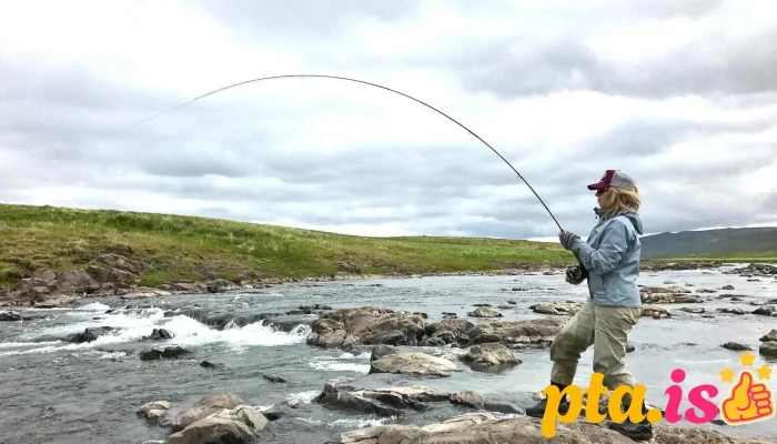 Iceland Outfitters -  Ferðaskrifstofa - Kópavogur