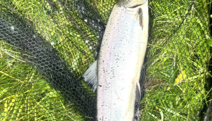 Iceland Outfitters -  Simi - Kópavogur