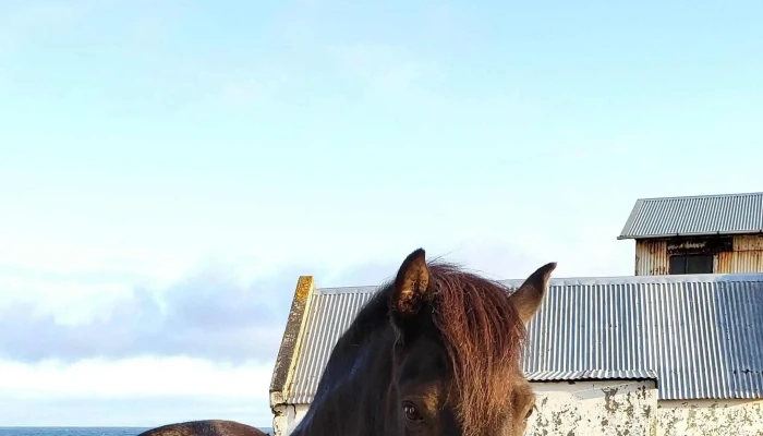 Iceland Travel -  Kynning - Reykjavík