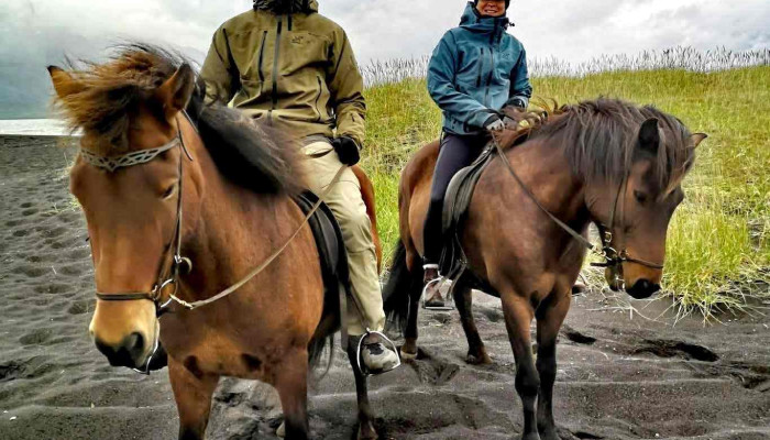 Icelandic Horse Tours -  Hnakkur - Sauðárkrókur