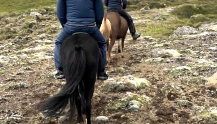 Icelandic Horse Tours -  Nalægt Mer - Sauðárkrókur