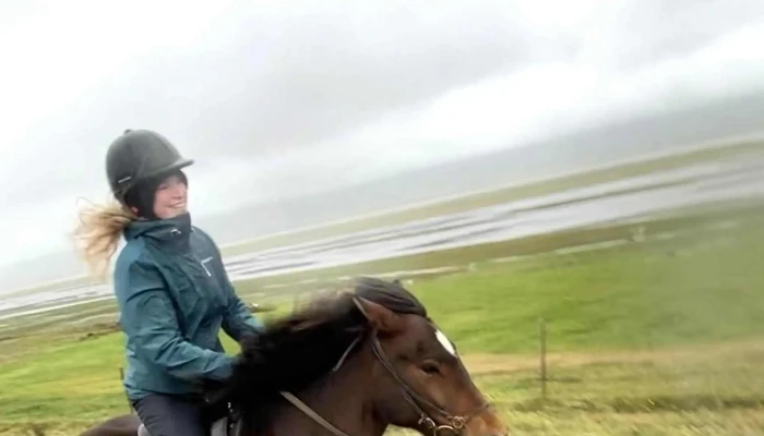 Icelandic Horse Tours -  Vefsiða - Sauðárkrókur