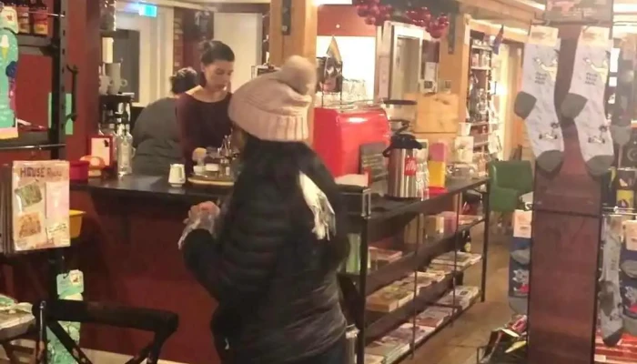 Ida Zimsen Stemning - Reykjavík