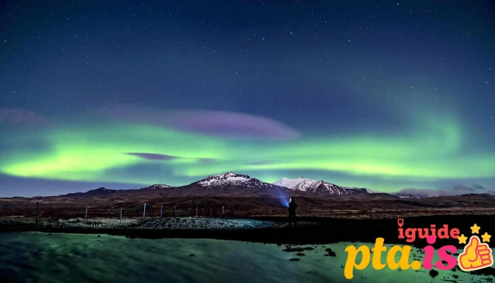 iguide - 800 Selfoss