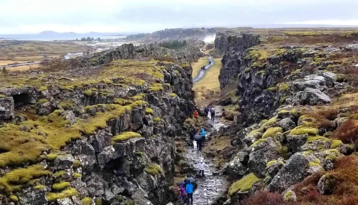Imark Felag Eða Stofnun - Reykjavík
