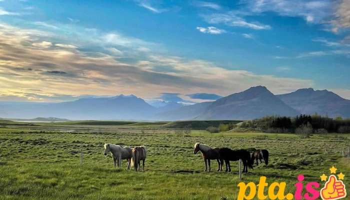 Island Hofn Fra Gestum - Höfn Í Hornafirði