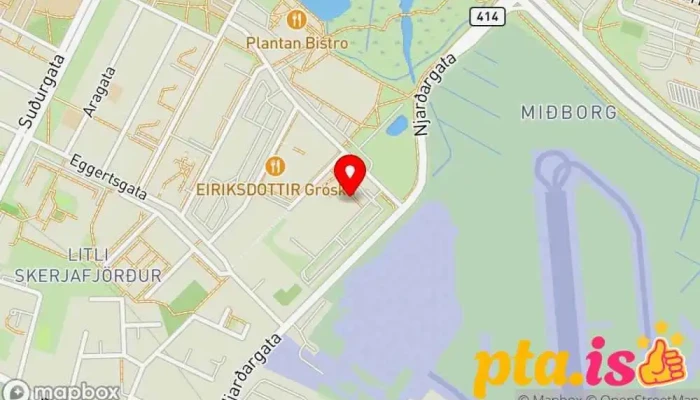 Islensk Erfdagreining Kort - Reykjavík