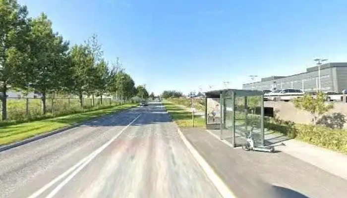Islensk Erfdagreining Meindýraeyðing - Reykjavík