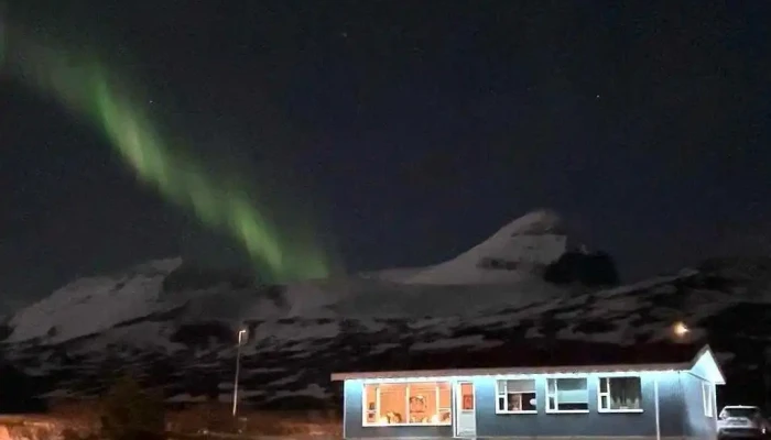 Islenskur Dunn Ehf Nyjast - Borgarfjörður Eystri