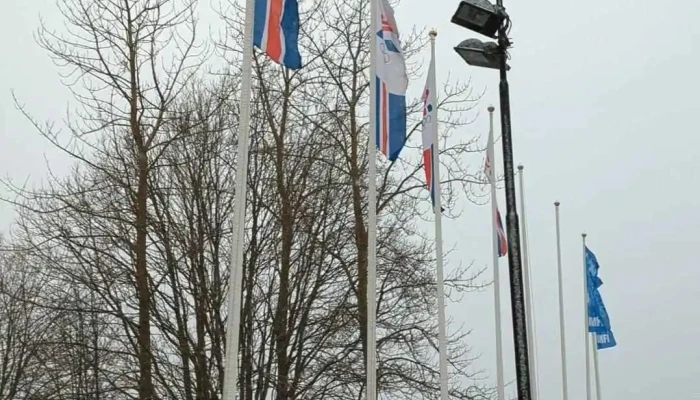 Ithrotta  Og Olympiusamband Islands   Isi Myndskeid - Reykjavík