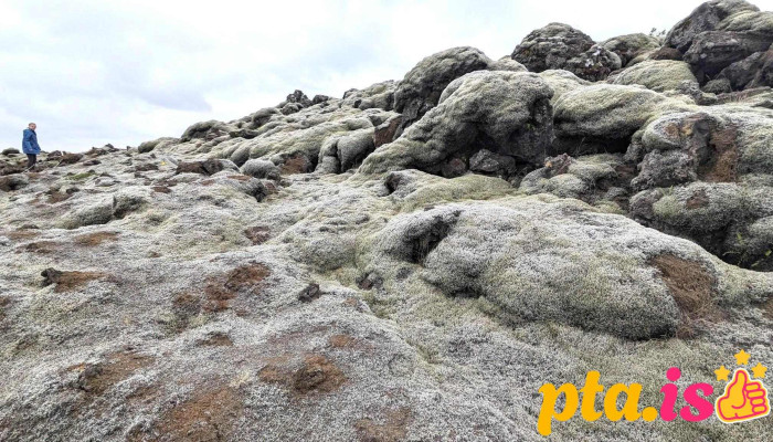 Katla Jardvangur Fjall - Vík