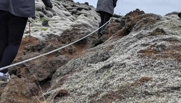 Katla Jardvangur Friðland - Vík