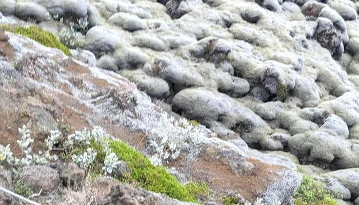 Katla Jardvangur Hvar - Vík