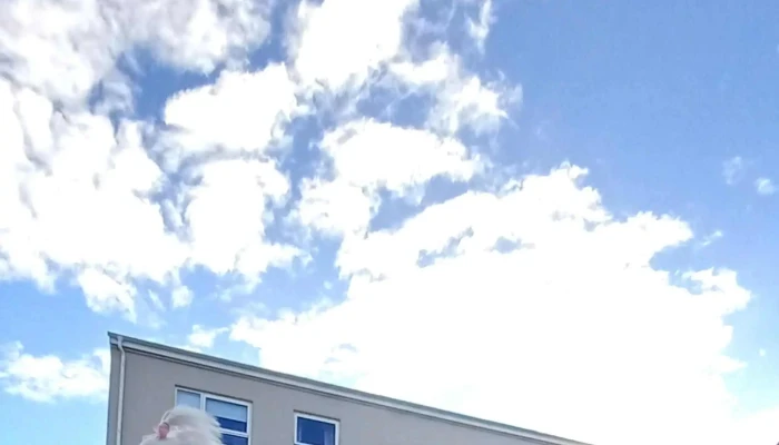 Keldur Tilraunastod Haskola Islands I Meinafraedi Reykjavik - Reykjavík