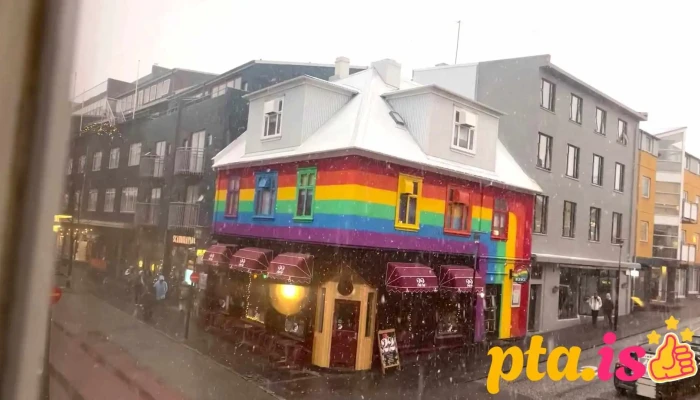Kiki Queer Bar Myndskeid - Reykjavík
