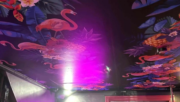 Kiki Queer Bar Staðsetning - Reykjavík
