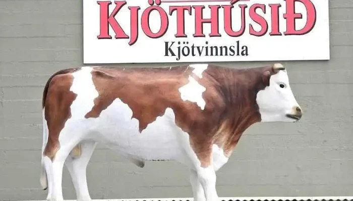 Kjöthúsið - Kópavogur