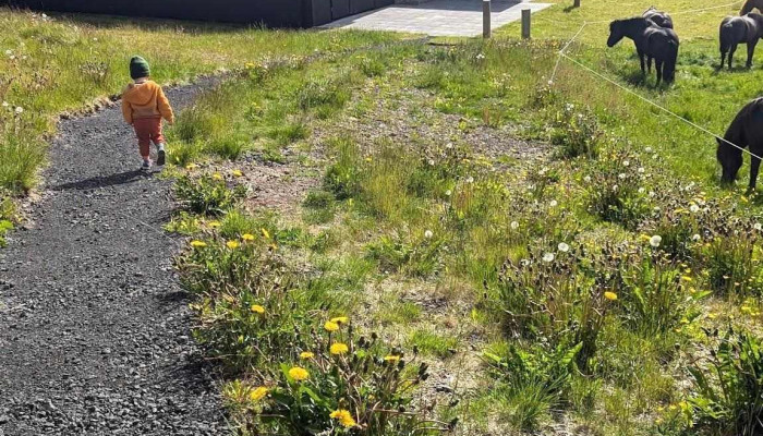 Kleif Farm -  Loftflutningar - Mosfellsbær