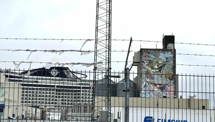 Korngardur Cruise Terminal Umsagnir - Reykjavík