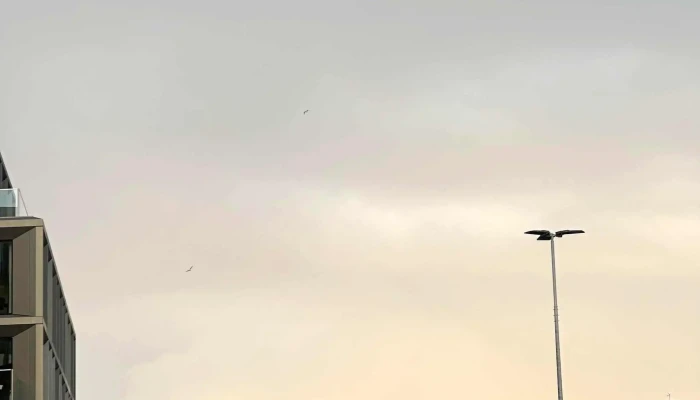 Laekjartorg Reykjavik - Reykjavík