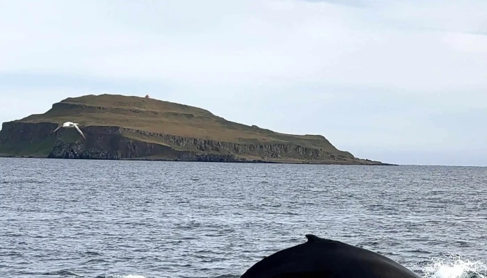 Laki Tours Hvar - Hólmavík