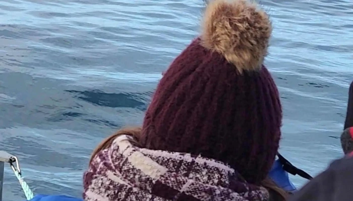 Laki Tours Svæði - Ólafsvík