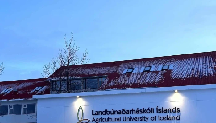 Landbunadarhaskoli Islands Hvanneyri - Hvanneyri