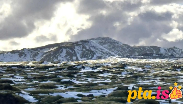 Landeyjarhodn Nyjast - Hveragerði