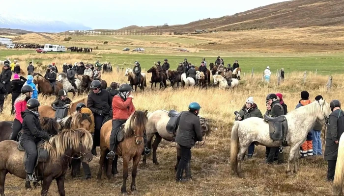 Laufskalarett Hvernig A Að Komast þangað - Iceland