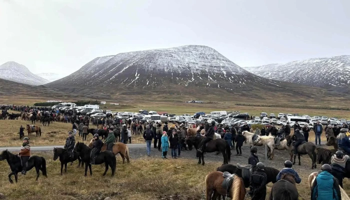 Laufskalarett Myndir - Iceland