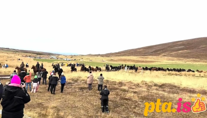 Laufskalarett Myndskeid - Iceland