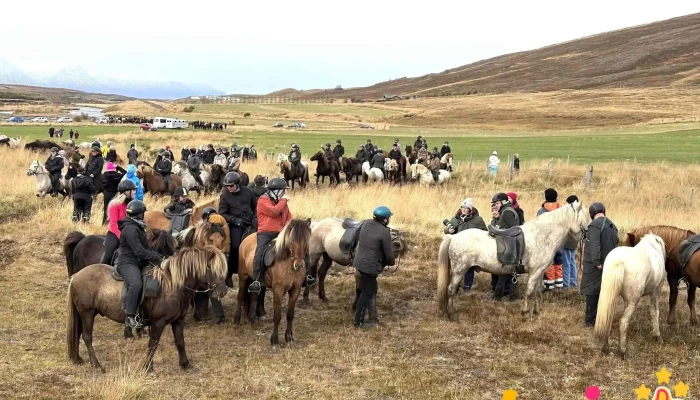 Laufskalarett Tonleika Eða Veislusalur - Iceland
