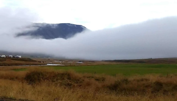 Laufskalarett Vefsiða - Iceland
