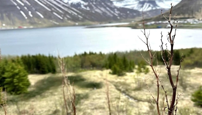 Lautarbord Instagram - Ísafjörður