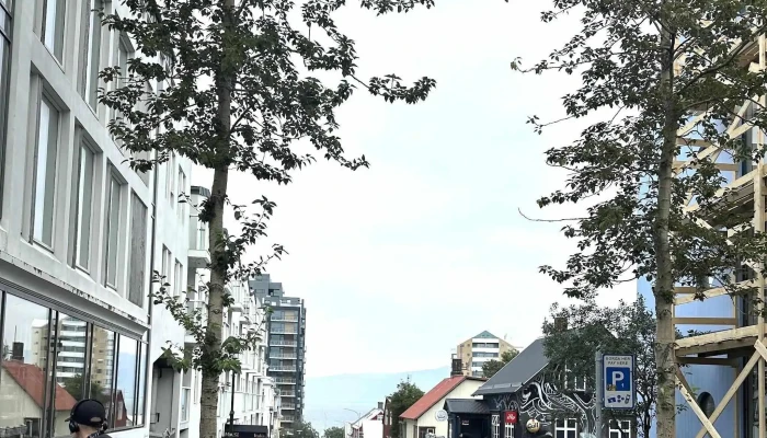 Leikfelagid Herranott Afslættir - Reykjavík