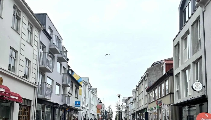 Leikfelagid Herranott Umsagnir - Reykjavík