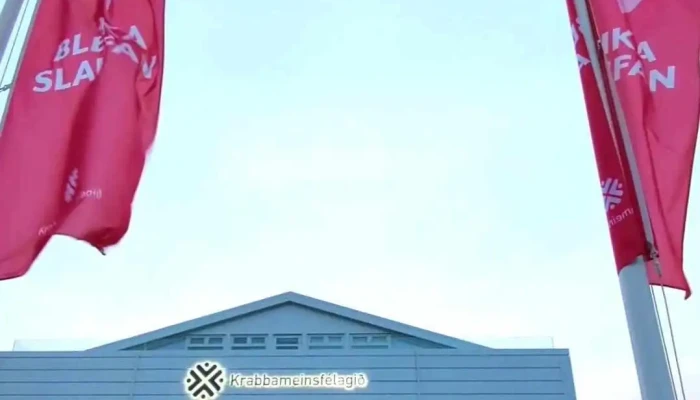 Leitarstod Krabbameinsfelags Islands Myndskeid - Reykjavík