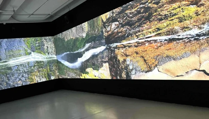 Listasafn Islands Myndir - Reykjavík