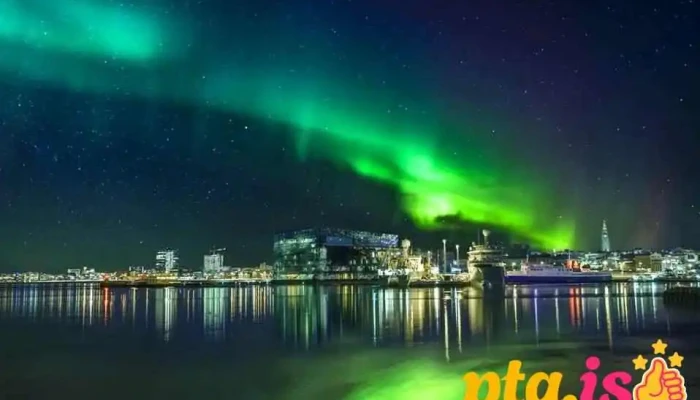 Loft -    Hi Eco Hostel Bar Gististaður - Reykjavík