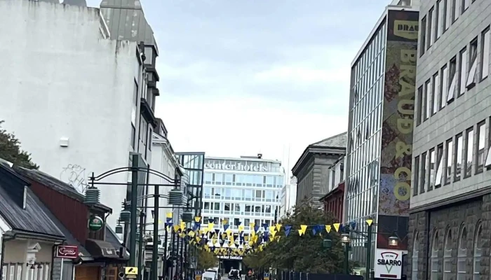 Loft -  Skulptur - Reykjavík