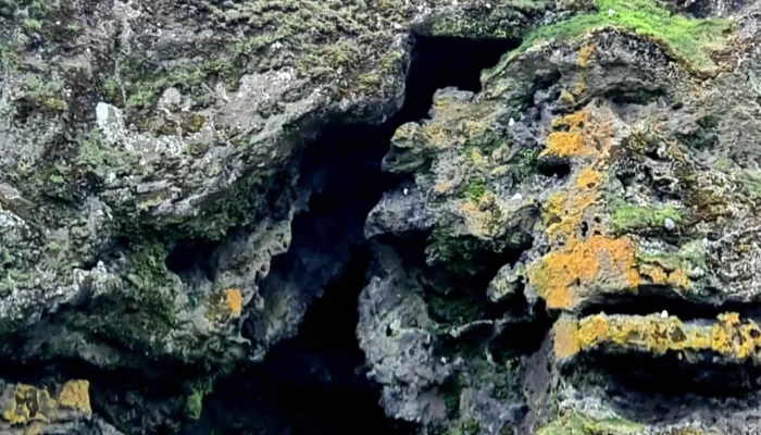 Loftsalahellir Cave -  Dyrholavegur - Dyrhólavegur