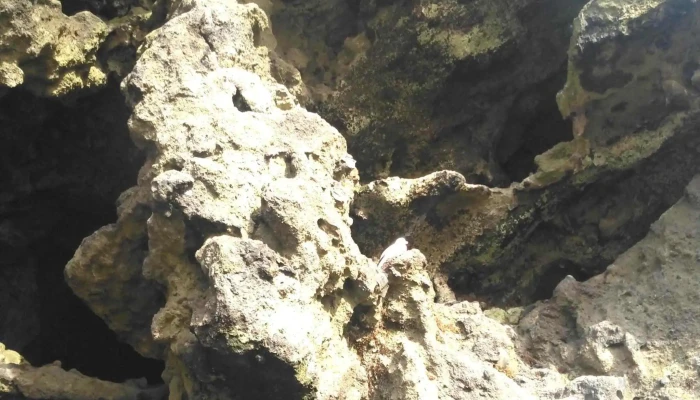 Loftsalahellir Cave -  Verð - Dyrhólavegur