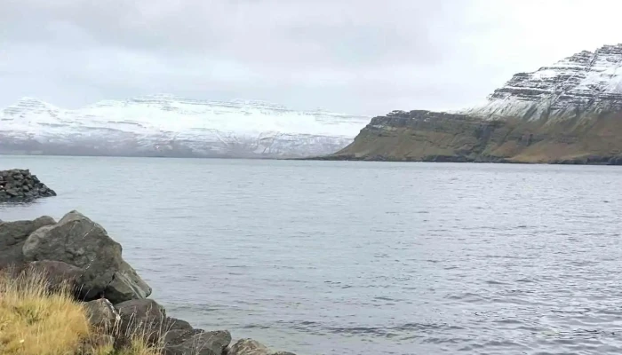 Lyfja -  Myndskeid - Neskaupstaður