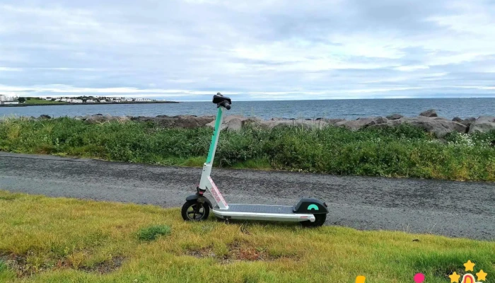 Lyfjafraedingafelag Islands Felag Eða Stofnun - Seltjarnarnes