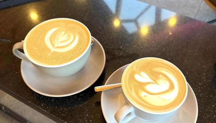 Lyst -  Cappuccino - Akureyri
