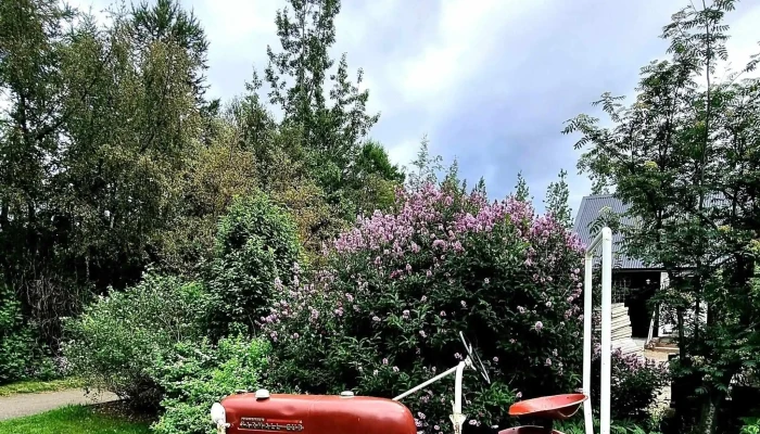 Lystigardur Akureyrar Akureyri - Akureyri